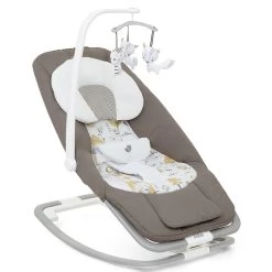 Joie Dreamer Rocker & Bouncer - Cosy Spaces