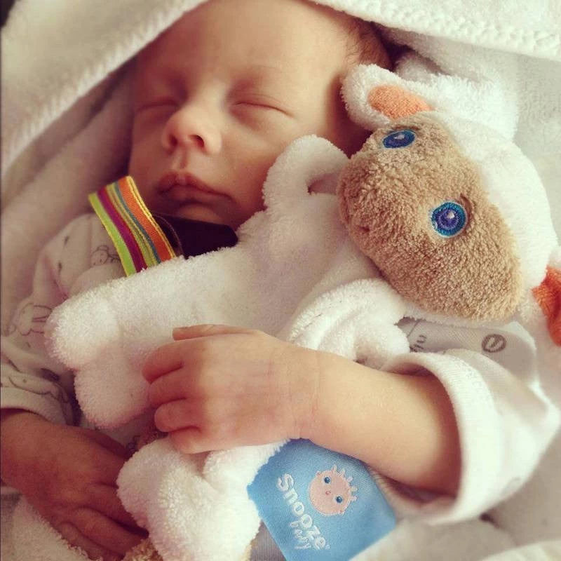 Snoozebaby Pacifier Holder - Mak The Cuddling Lamb - Image 4