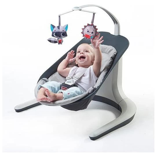 Tiny Love 2 In 1 Nature's Way Bounce & Sway - Image 5