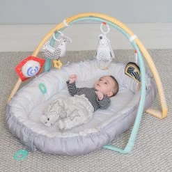 Taf Toys Musical Newborn Nest & Gym